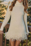 Women Turtleneck Tassel Knitted Sweater Dress